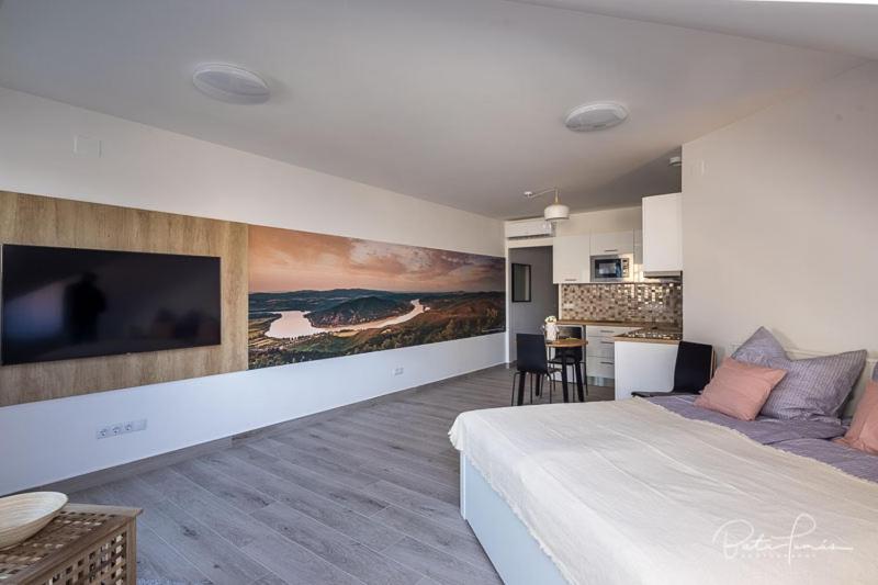 Stafetahaz Apartmanok Vac Ngoại thất bức ảnh